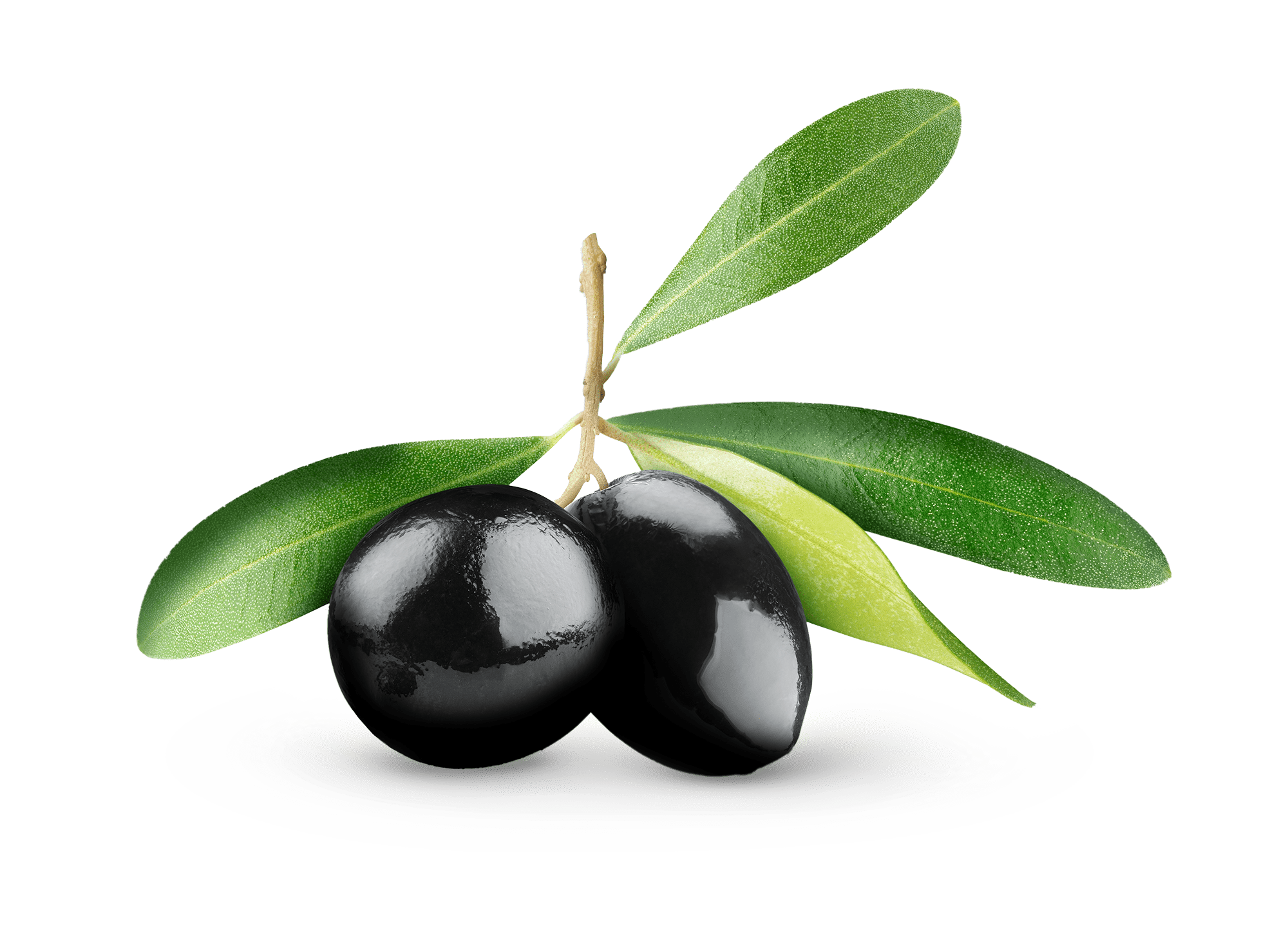 aceituna negra